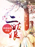 《二姑娘》封面