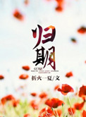 《归期（离婚后的故事）》封面