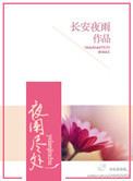 《夜阑尽处》封面