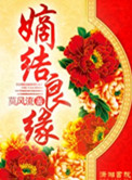 《嫡结良缘（穿越之锦绣良缘）》封面