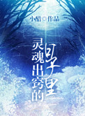 《灵魂出窍的日子》封面