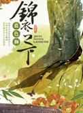 《锦衣之下》封面
