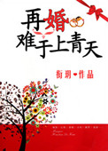 《再婚难于上青天》封面