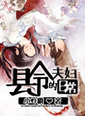 《县令夫妇的日常》封面