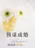 《预谋成婚》封面