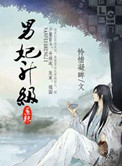 《男妃升级系统》封面
