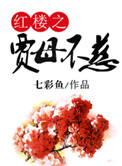 《红楼之贾母不慈》封面