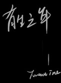 《有生之年》封面