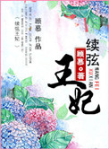《续弦王妃》封面