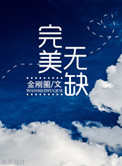 《完美无缺》封面