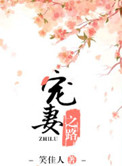《宠妻之路》封面