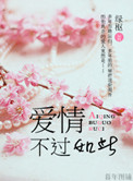 《爱情，不过如此》封面