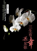 《三生有幸，遇见你》封面