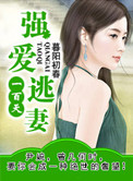 《强爱逃妻一百天（复仇）》封面