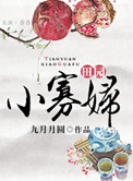 《田园小寡妇》封面