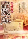 《重生空间农家乐》封面