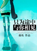 《只为途中与你相见》封面