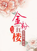 《金粉红楼》封面