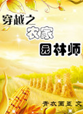 《穿越之农家园林师》封面