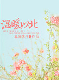 《温软之北，暖宠以南（温暖以北）》封面