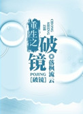 《重生之破镜》封面