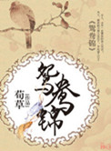 《鸳鸯锦（种田）》封面