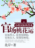 《官道之步步高升》封面