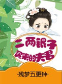 《二两银子买来的夫君》封面