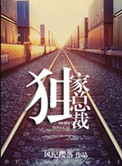 《重生之独家总裁》封面