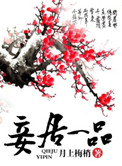 《妾居一品》封面