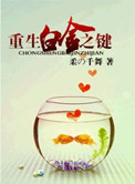 《重生白金之键》封面