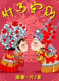 《驸马守则》封面