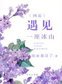 《遇见一座冰山（网游）》封面