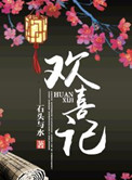 《欢喜记》封面
