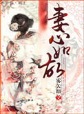 《妻心如故》封面
