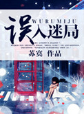 《误入迷局》封面