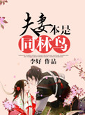 《夫妻本是同林鸟》封面