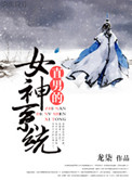 《直男的女神系统》封面