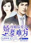 《闪婚后爱之娇妻难为》封面