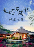 《无巧不成书》封面