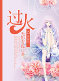 《过火》封面