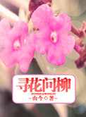 《何寻，何寻》封面