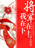 《将军在上，我在下》封面