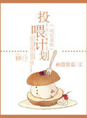 《明星系统投喂计划》封面