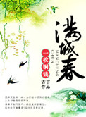 《满城春》封面