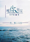 《唯你至宝》封面
