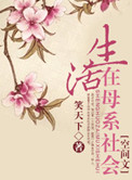 《奋斗在母系社会（空间文）》封面