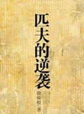 《匹夫的逆袭》封面