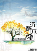 《沉醉不醒》封面