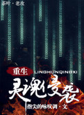 《灵魂侵袭[重生]》封面